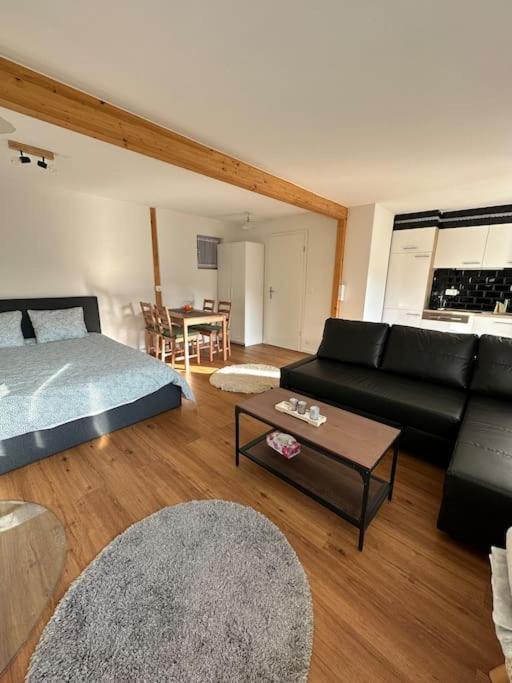 Chalet Du Moleson Грюйер Экстерьер фото